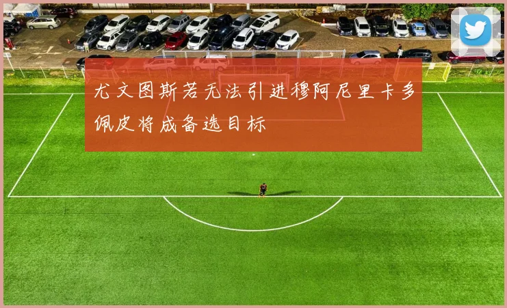 尤文图斯若无法引进穆阿尼里卡多佩皮将成备选目标