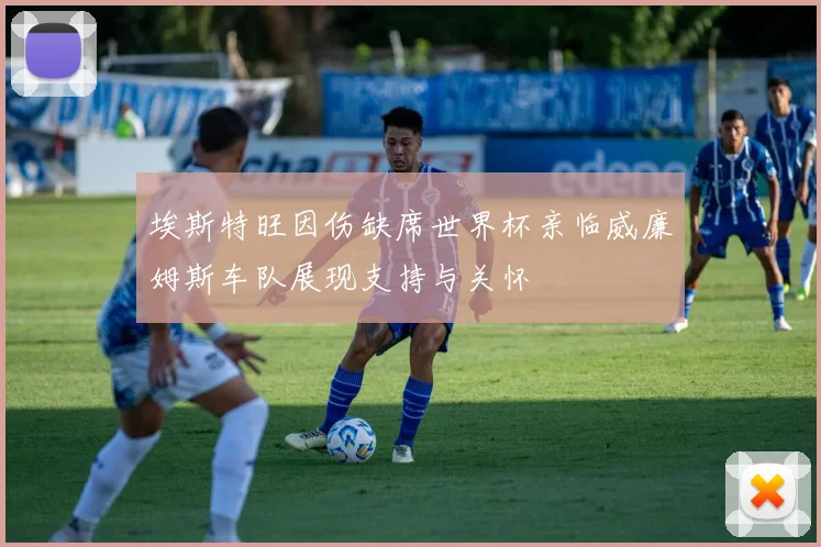 埃斯特旺因伤缺席世界杯亲临威廉姆斯车队展现支持与关怀