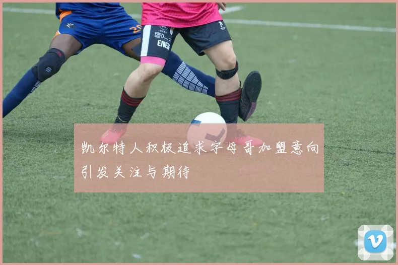 凯尔特人积极追求字母哥加盟意向引发关注与期待